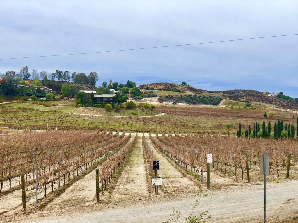 AKASH WINERY