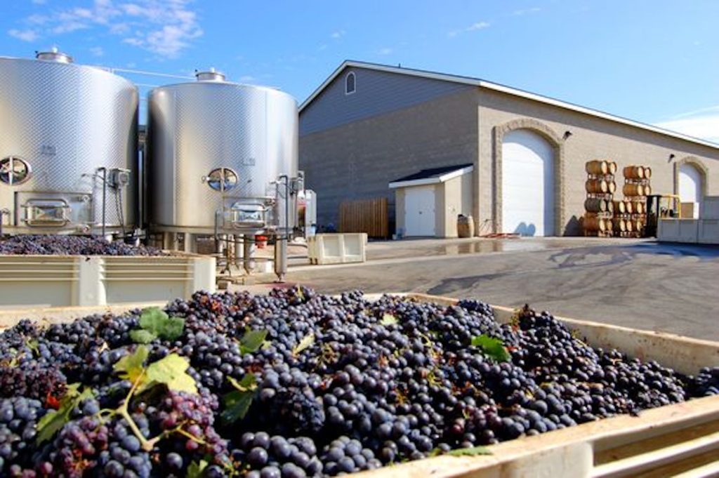 leoness_vineyard_temecula