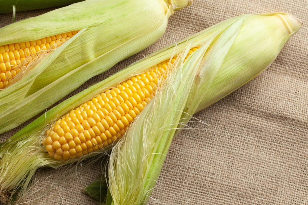 corn