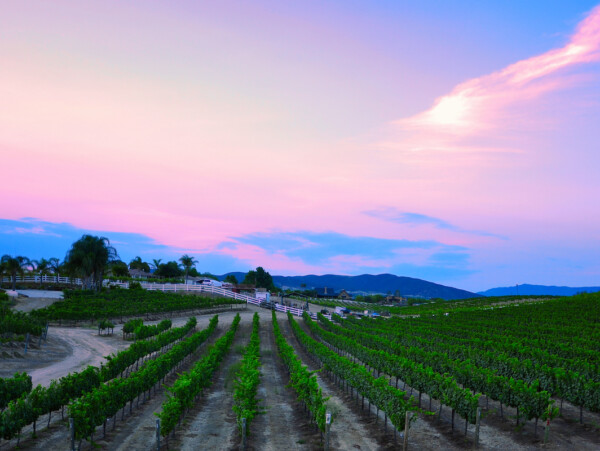 temecula_ca