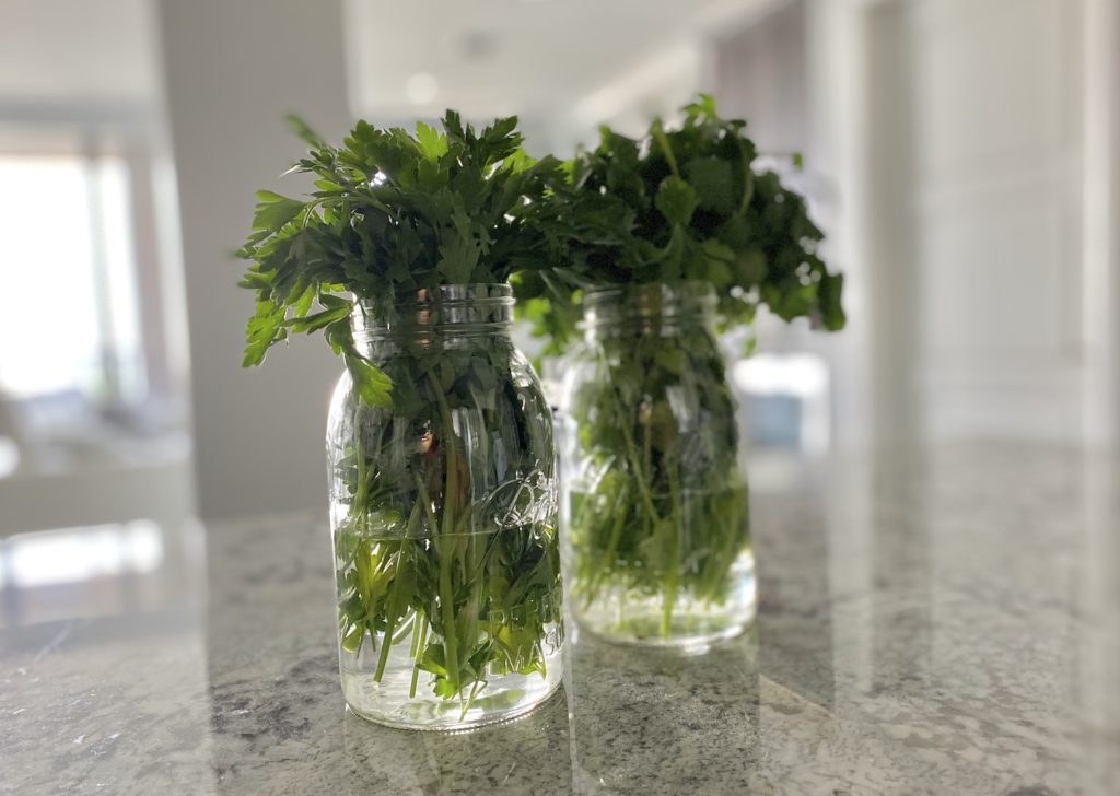 herbs in water