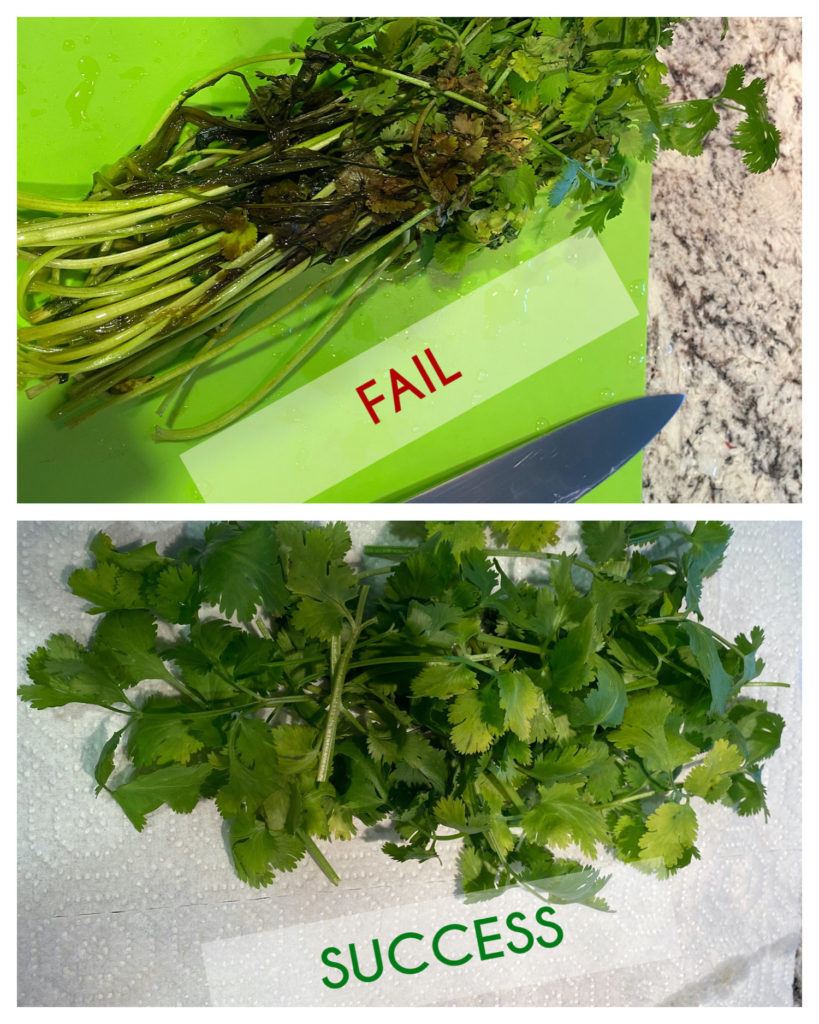 how to store herbs