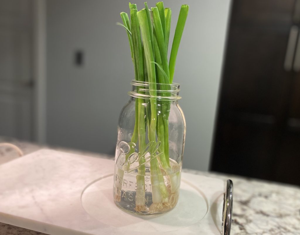 how to store green onions
