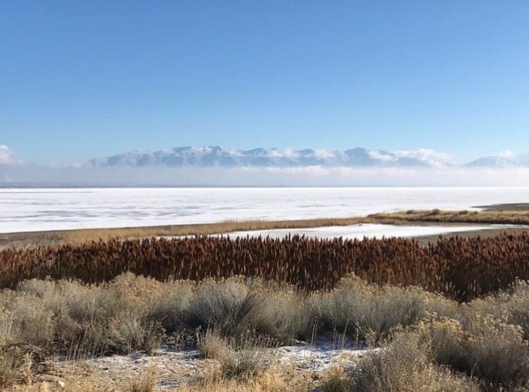 Photo of the Great salt lake in Salt Lake City utah