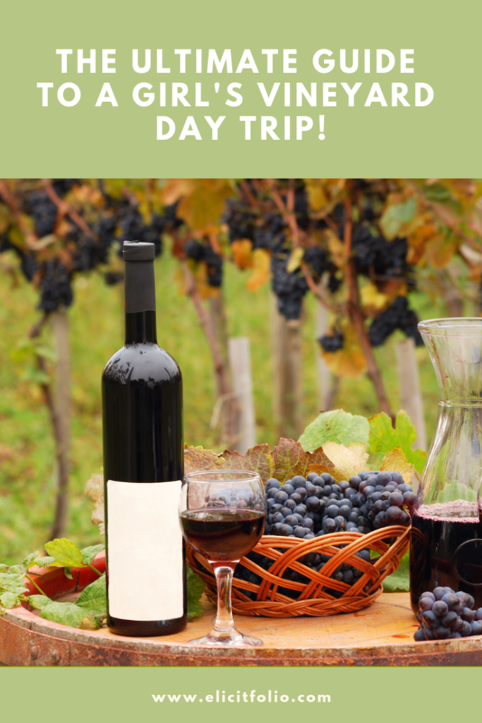 The Ultimate Guide to a Girl's Vineyard Day Trip!