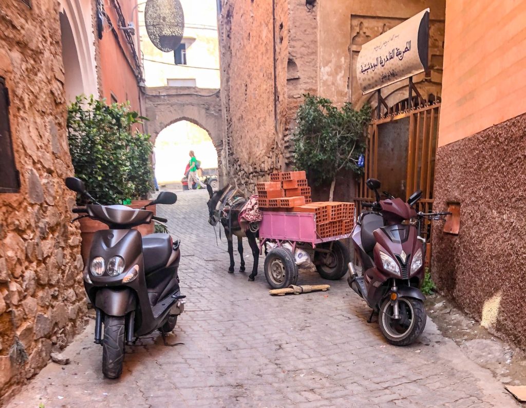 donkey medina marrakech