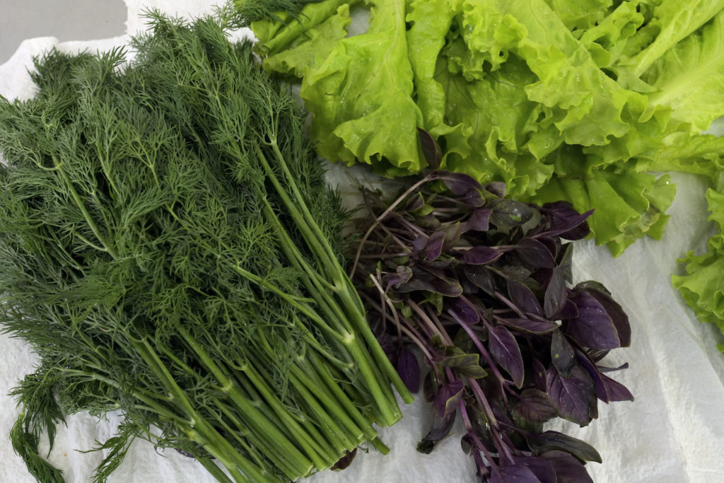 leafy greens