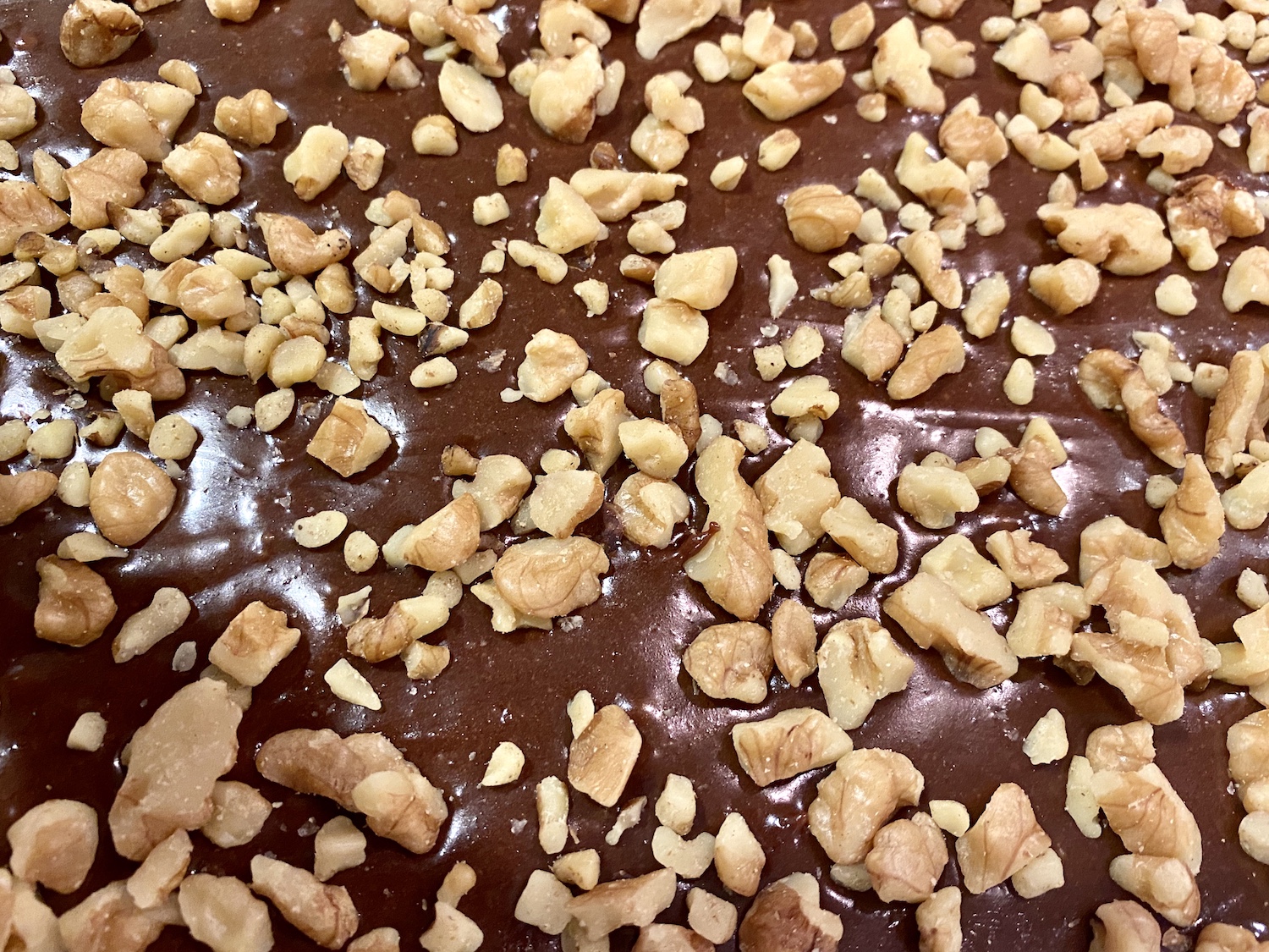homemade real chocolate brownies
