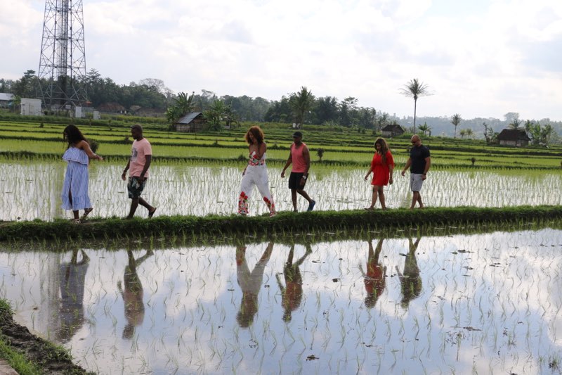 A photo of a group of people walking through a rice field in Ubud Bali