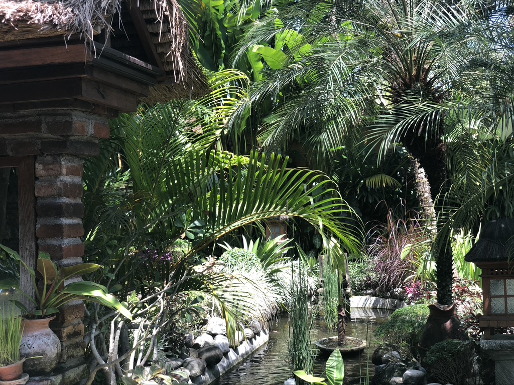 A photo by Elicit Folio of the Warung Mina restaurant's outdoor seating