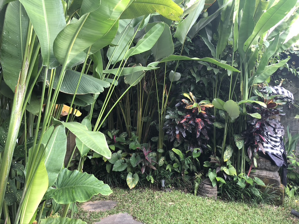 Front yard Point of view at Manipura Estate in Ubud Bali