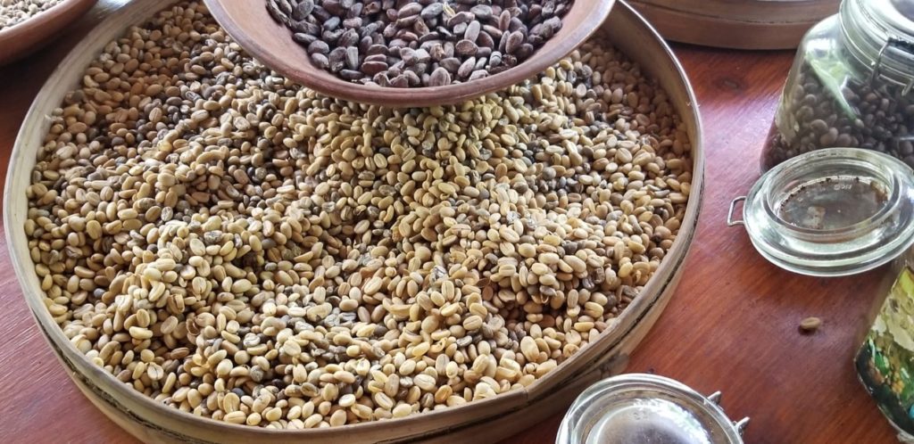 a photo of beans to make luwak coffee