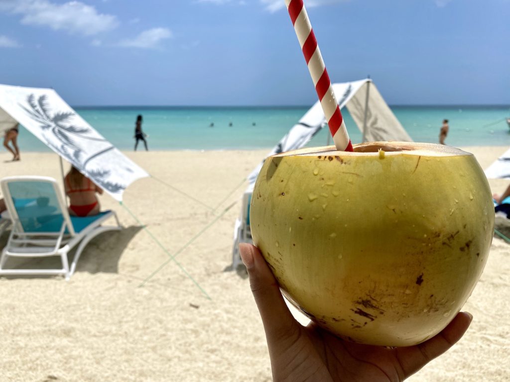 Skylark_Negril_Jamaica_Elicit_Folio