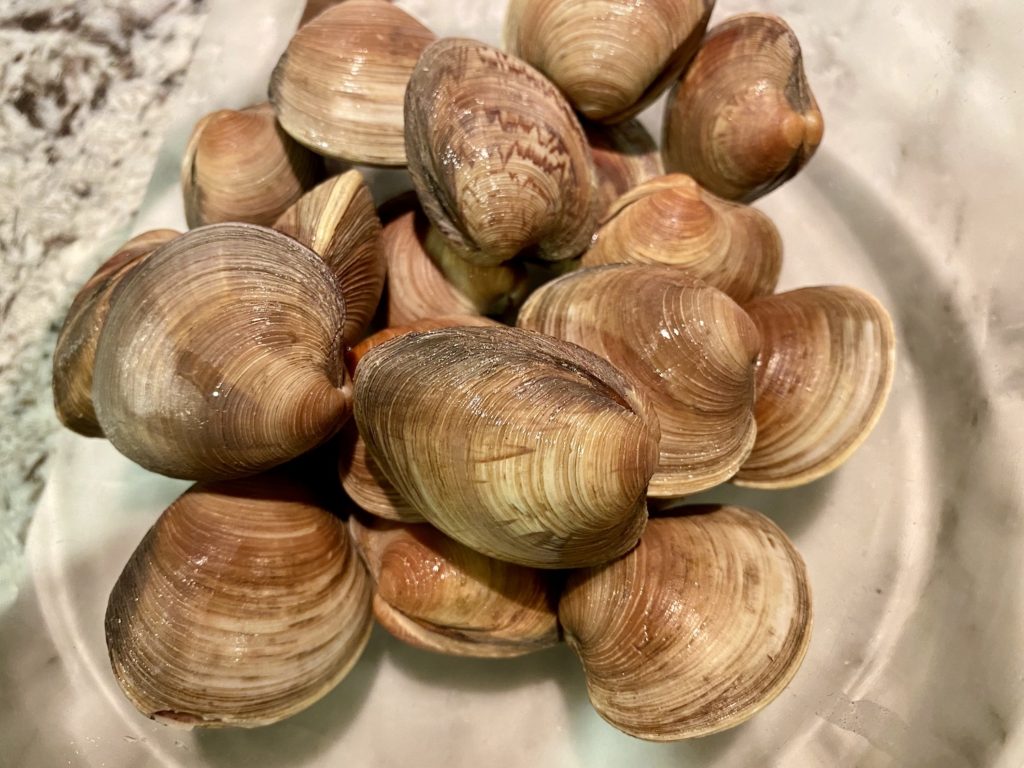 how to clean clams elicit folio