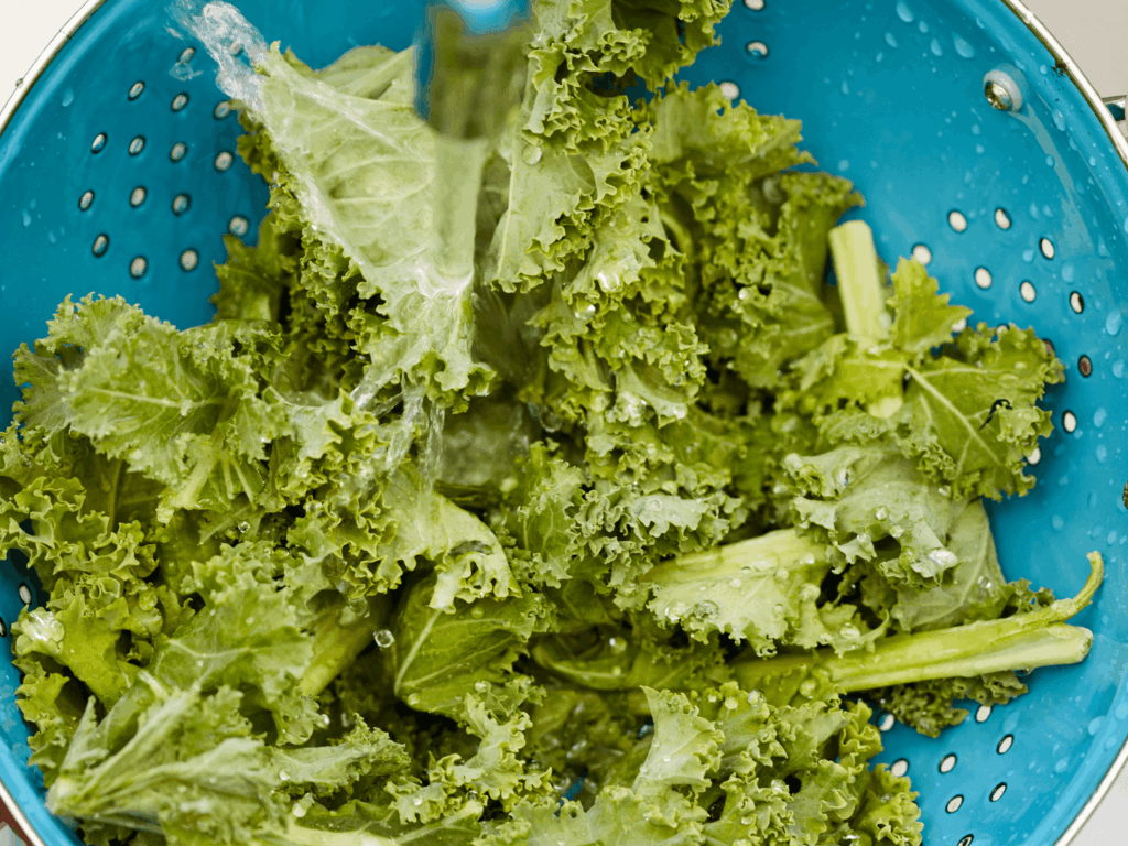 photo of washing kale