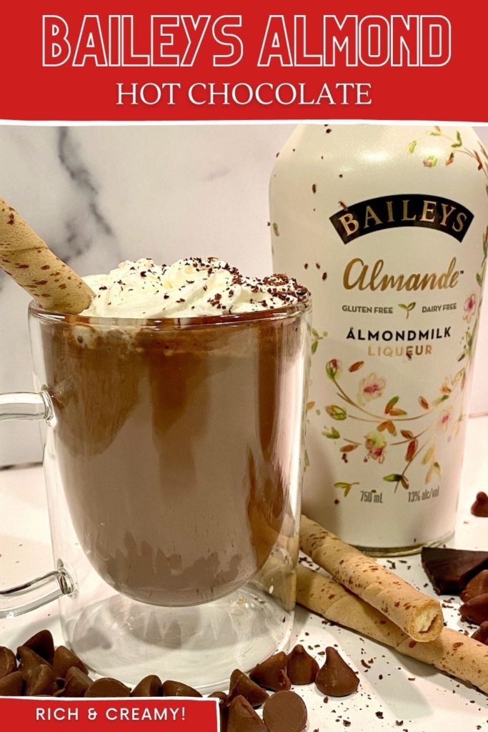 Baileys_Almond_Hot_Chocolate_Recipe_Elicit_Folio