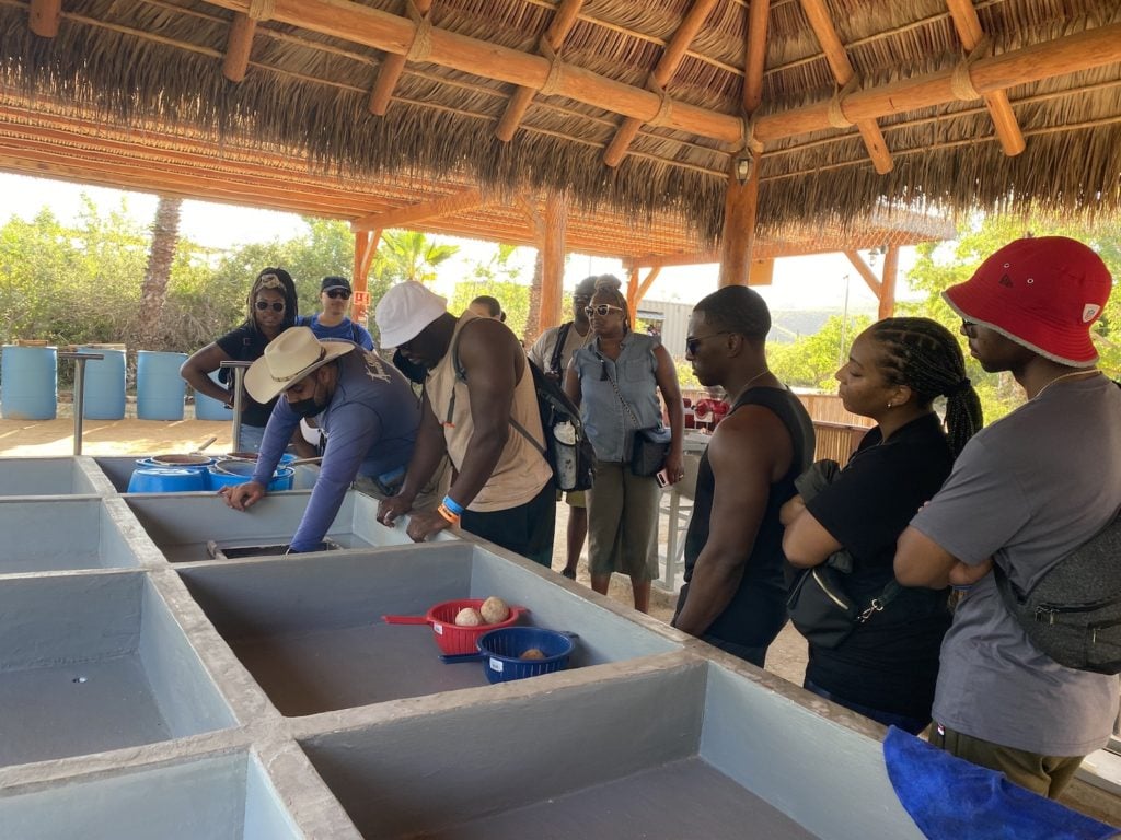 Elicit Folio Cabo Mexico