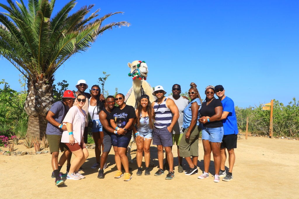 Elicit Folio Cabo Mexico