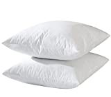 Photo of 24x24 pillows