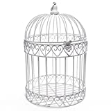 Ivory Wire Birdcage