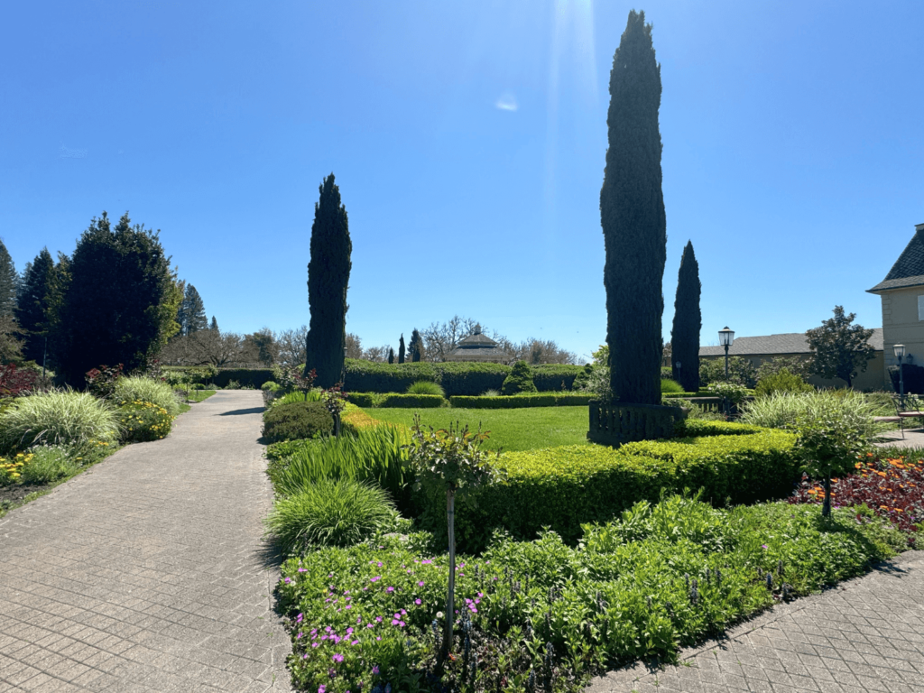 photo of trees in Napa Valley