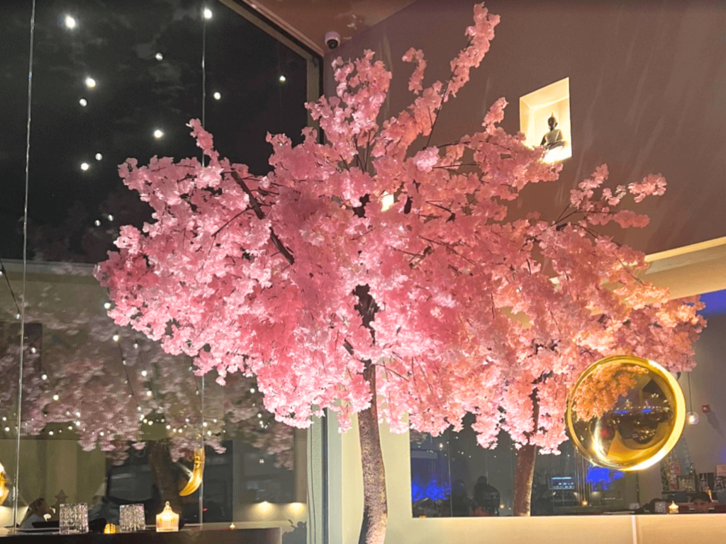 Azia restaurant in aruba