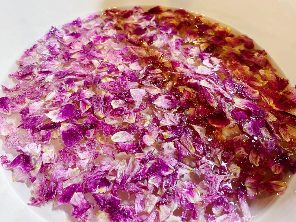 photo of dried rose petals in water in a pot