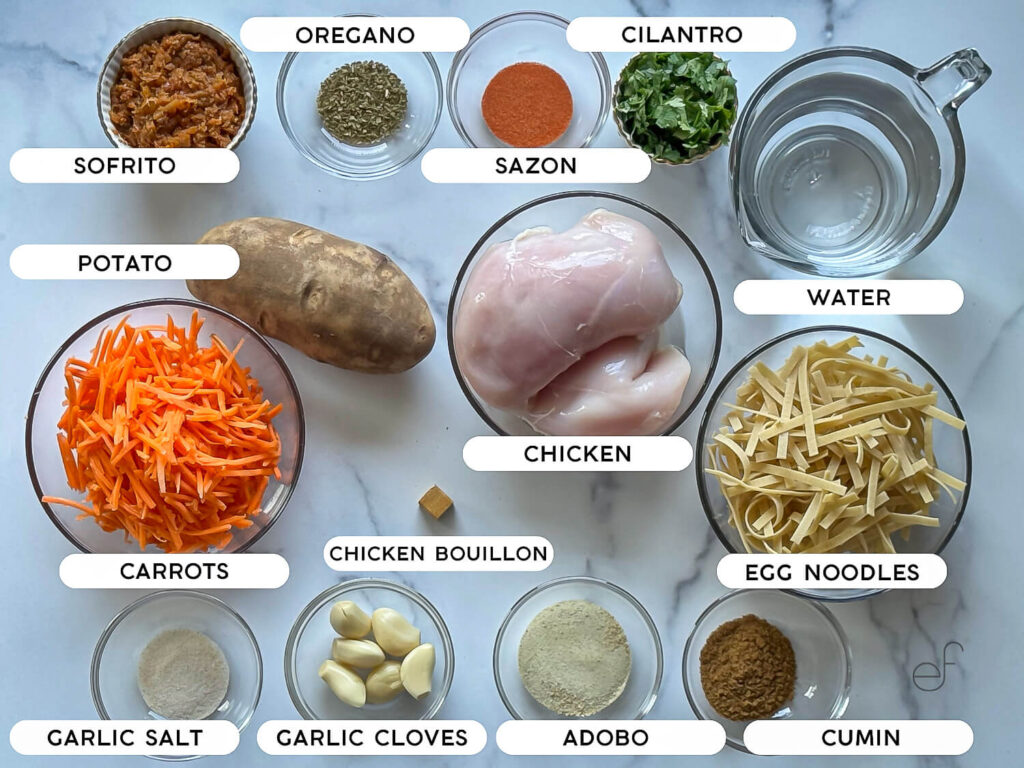 Photo of all ingredients needed for Chicken Noodle Soup