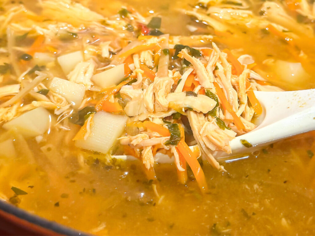 photo of a spoonful of chicken noodle soup