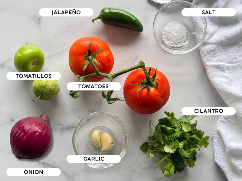 photo of homemade salsa recipe ingredients