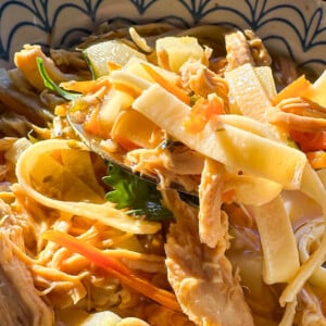 Close up photo of a spoonful chicken noodle soup