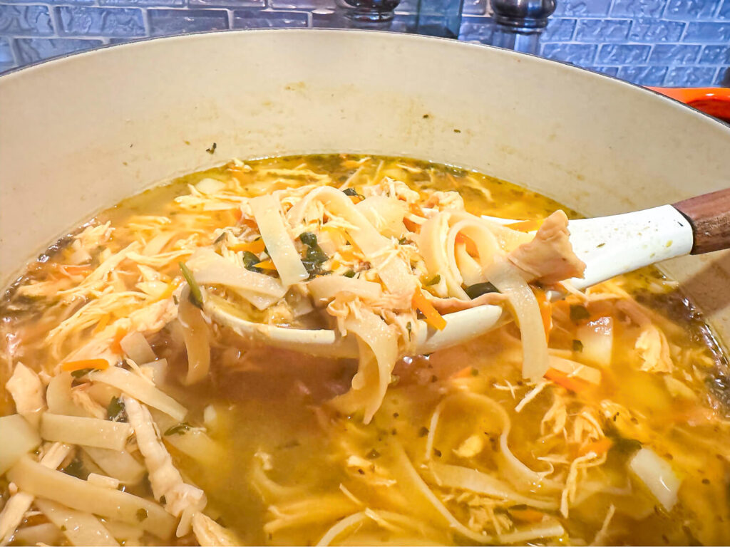 Close up photo of chicken noodle soup