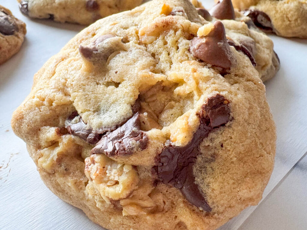 Close up photo of oatmeal chocolate chip cookie