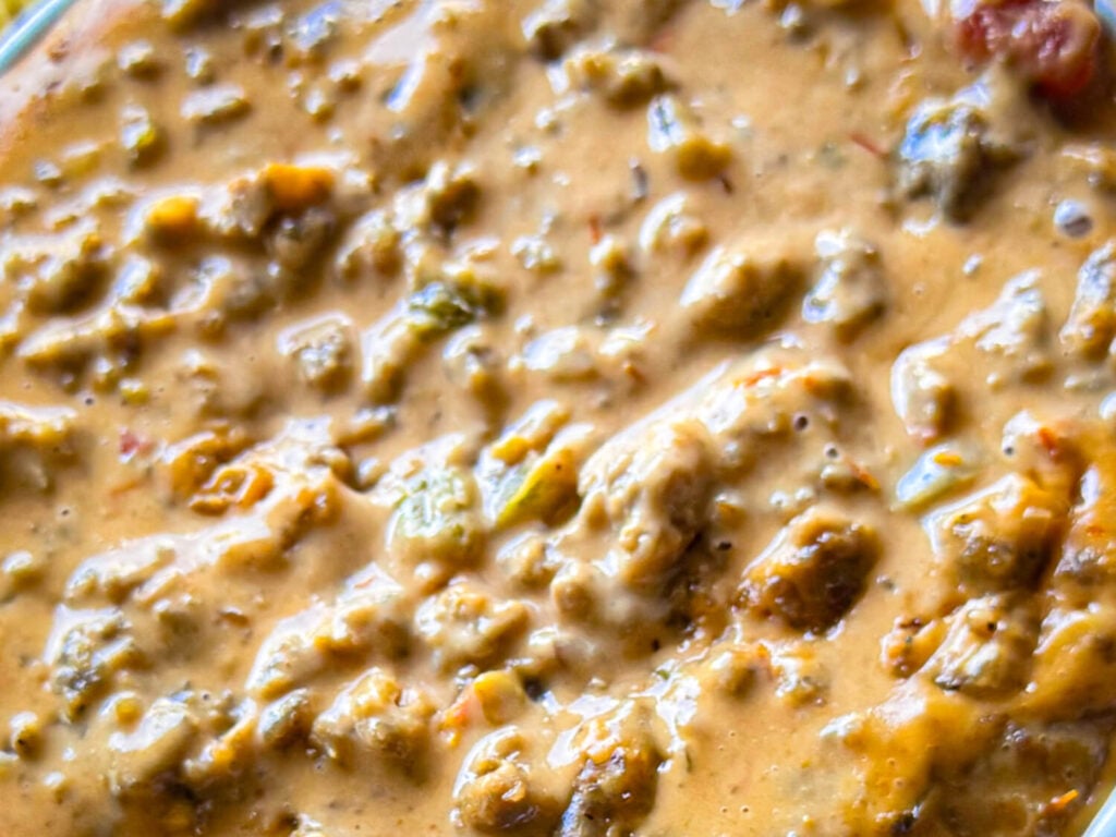 very close photo of Sausage Cheese Dip