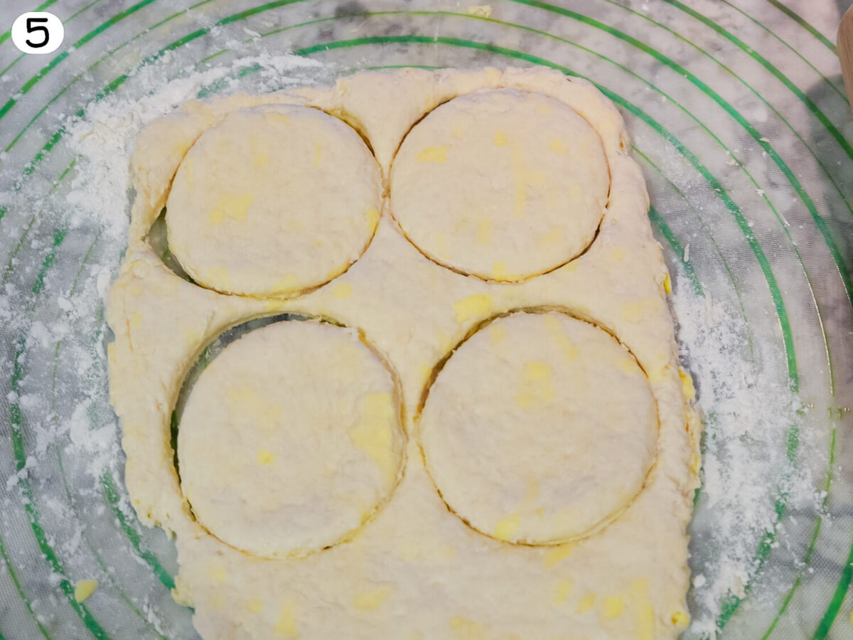 photo of dough being cut into circles