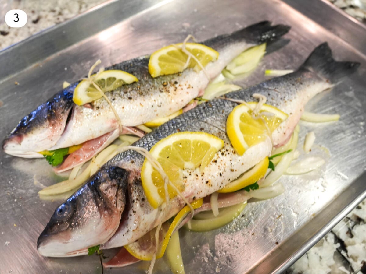 step 3 photo of uncooked branzino with cooking twine