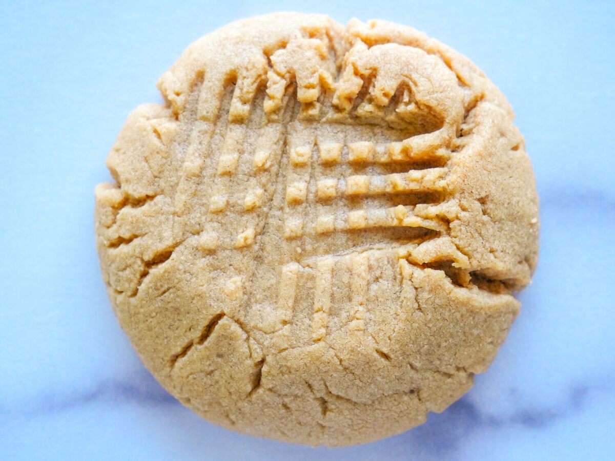 close up photo of one peanut butter cookie