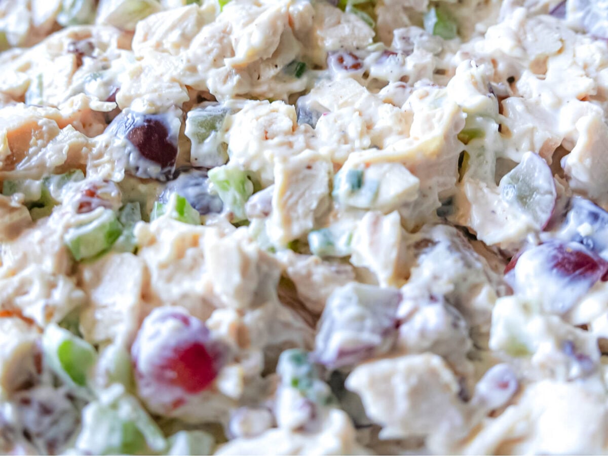 zoomed in photo of chicken salad