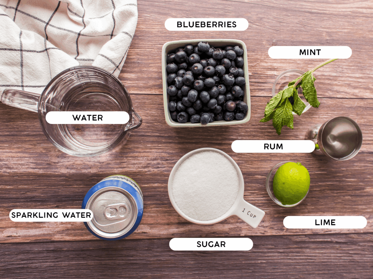 Blueberry Mojito Ingredients