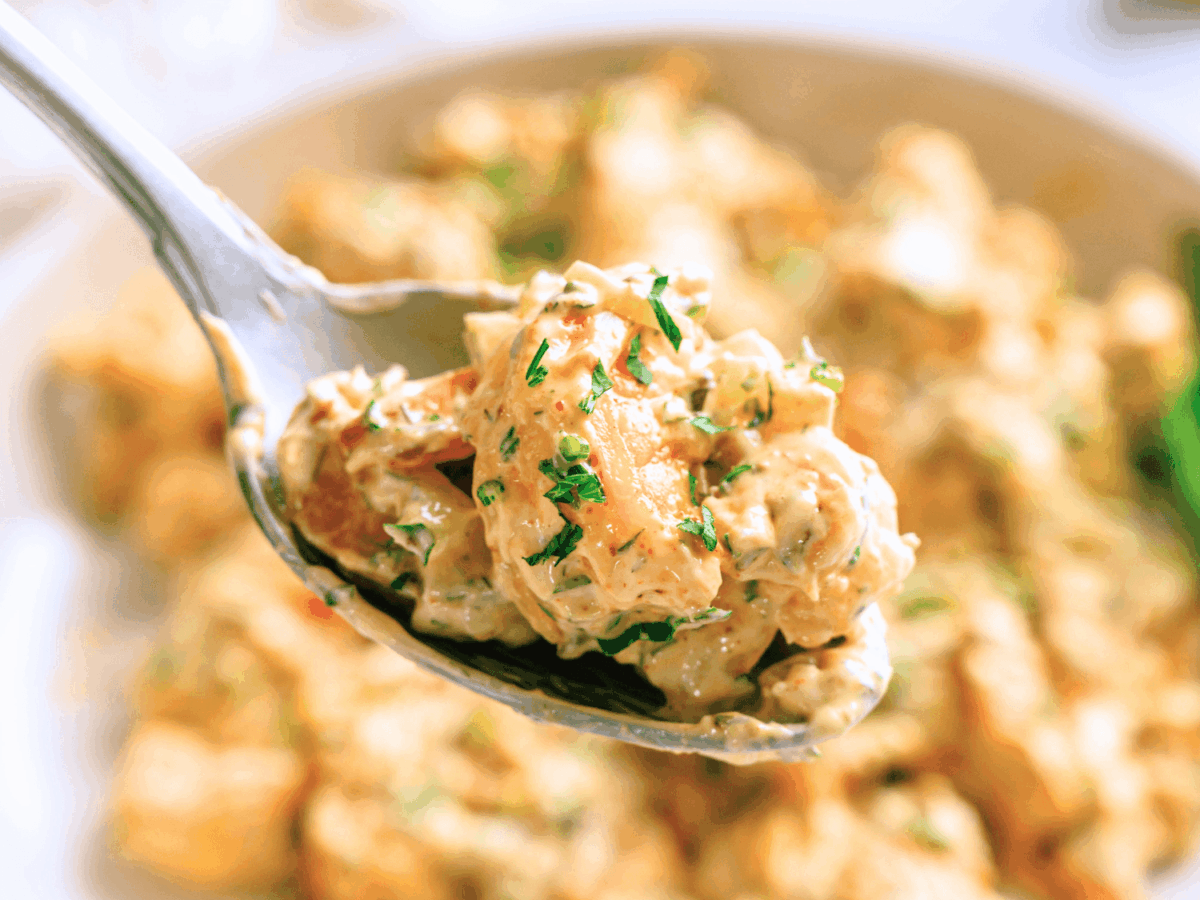 close up photo of shrimp salad on a spoon