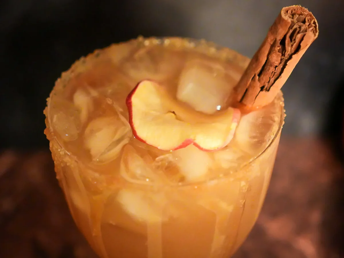 Overhead close-up of an apple cider margarita over ice, garnished with a dried apple slice and cinnamon stick